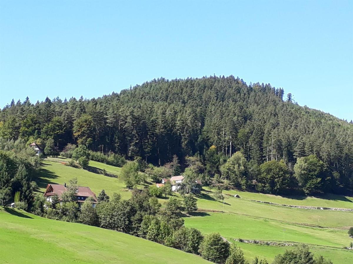 Isoldes Landhaus Baiersbronn Exterior foto