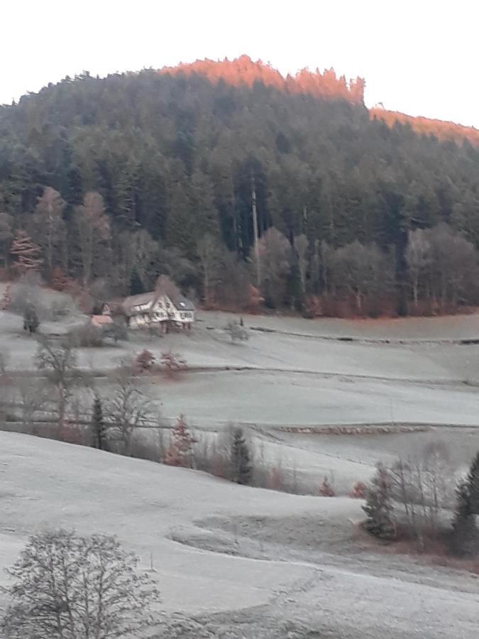 Isoldes Landhaus Baiersbronn Exterior foto
